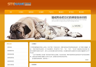 戶(hù)外寵物用品各種寵物建站平臺(tái)