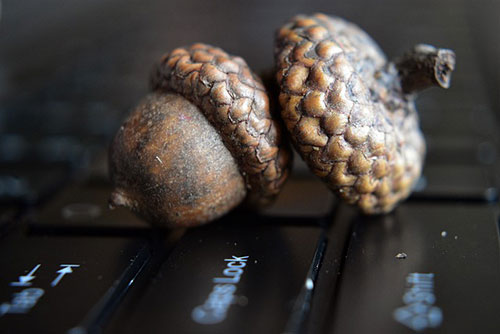 高頻撥號(hào)對(duì)于電銷工作的影響大嗎？電銷防封系統(tǒng)